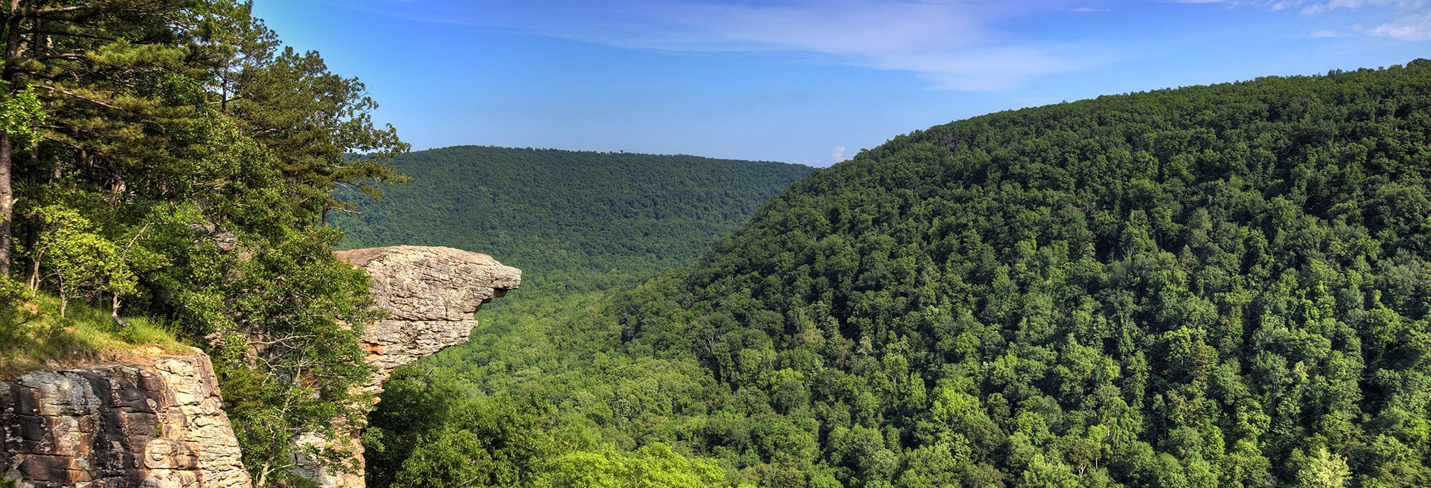 Whitaker's Point Trail in the Ozark Mountains.