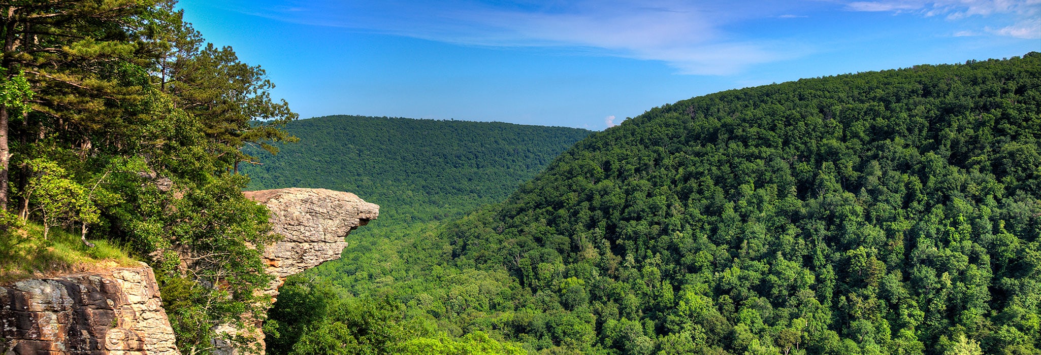 Whitaker's Point Trail | Arkansas