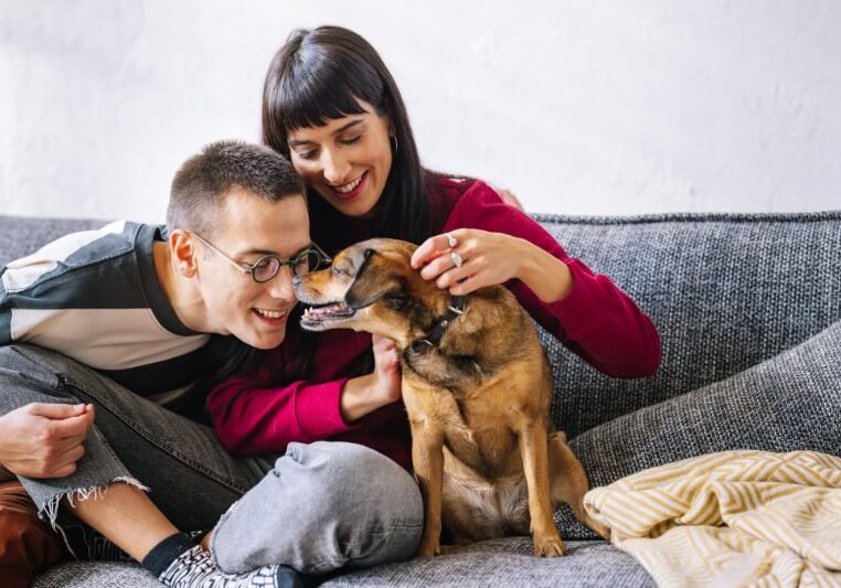 A lovely couple sitting on the sofa and playing with their dog. Everybody is smiling.